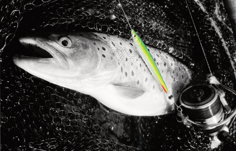 Fladen Silver Chaser 18g - Image 2