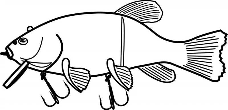 Quantum Freak Of Nature Hybrid Tench 23cm, 175g - Image 4