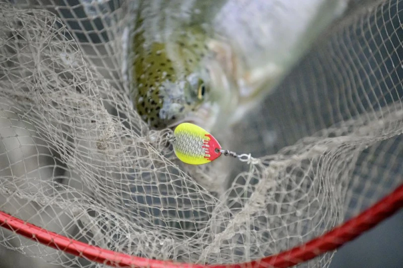 Magic Trout Bloody Big Blade 3,5cm, 2,6g - Image 3