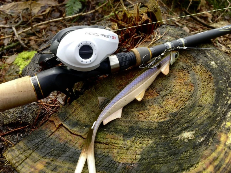 Quantum Accurist Baitcast AT101 HPT - Image 6