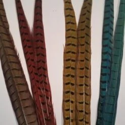 Chevron Cock Pheasant Tail Feather - Funky Fly Tying