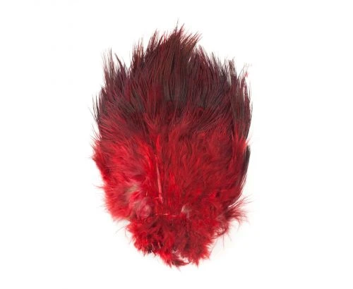 Fish Hunter Strung Ringneck Pheasant Rump Hackle - Funky Fly Tying - Image 19