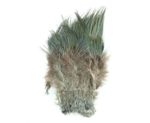 Fish Hunter Strung Ringneck Pheasant Rump Hackle - Funky Fly Tying - Image 17