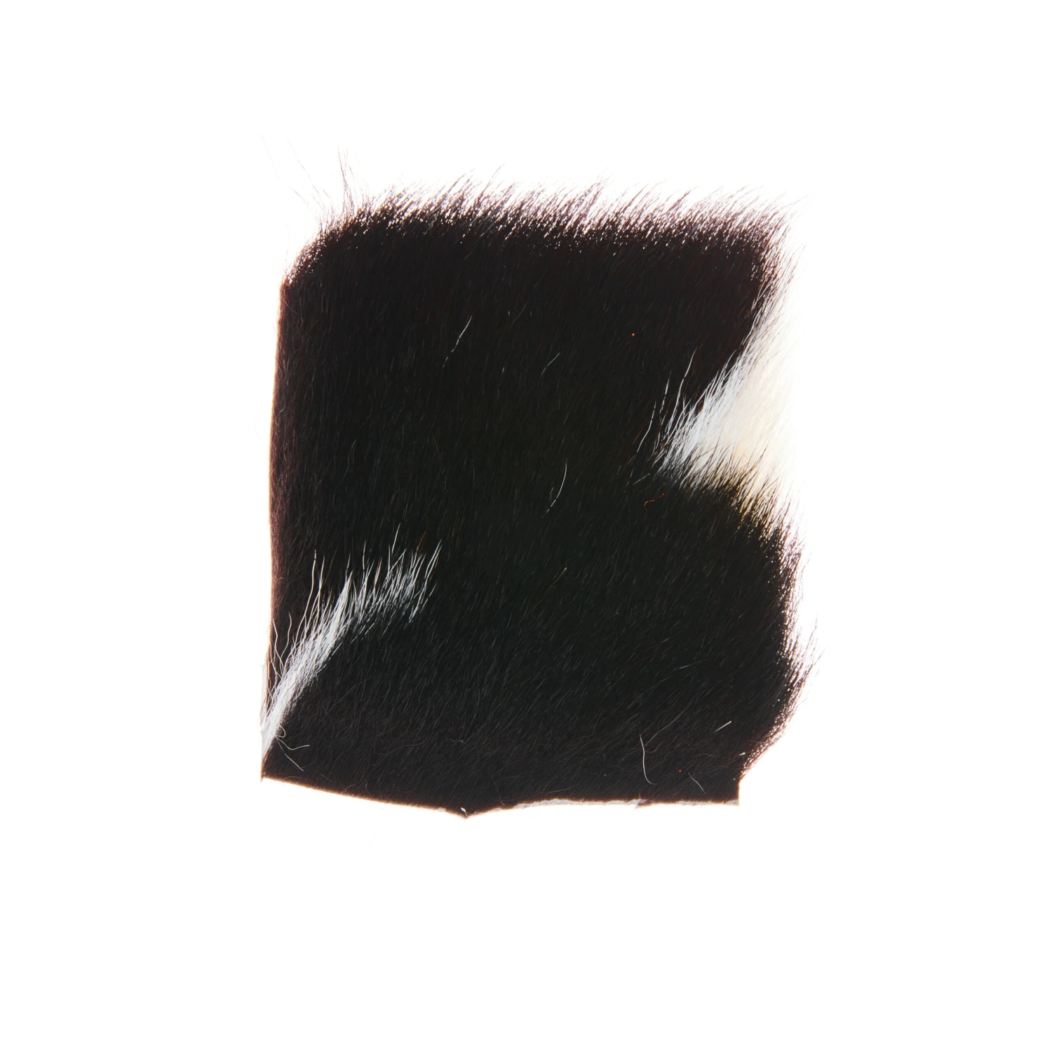 Funky Calf Body Hair - Funky Fly Tying - Image 14