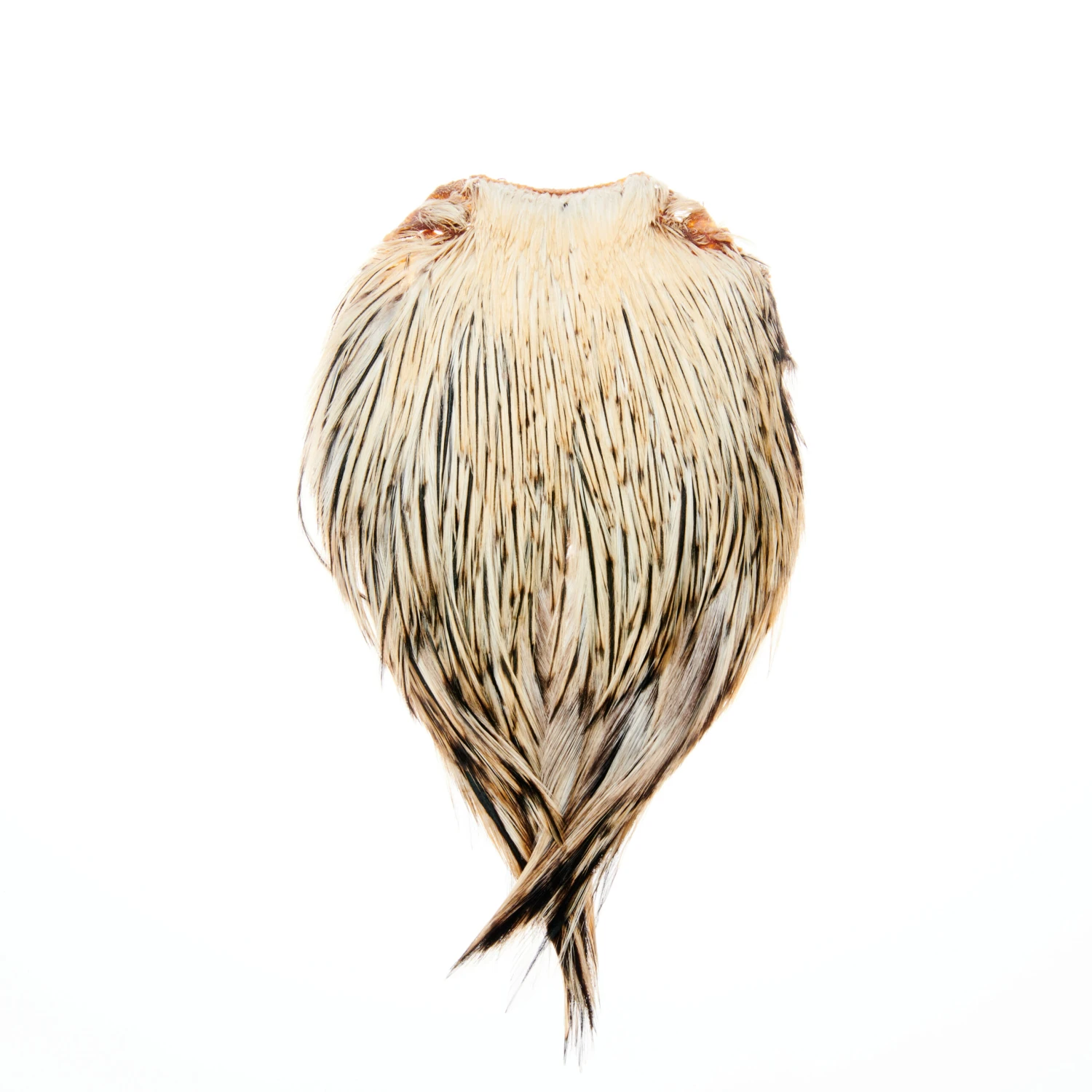 Funky Cock Capes - Funky Fly Tying - Image 3