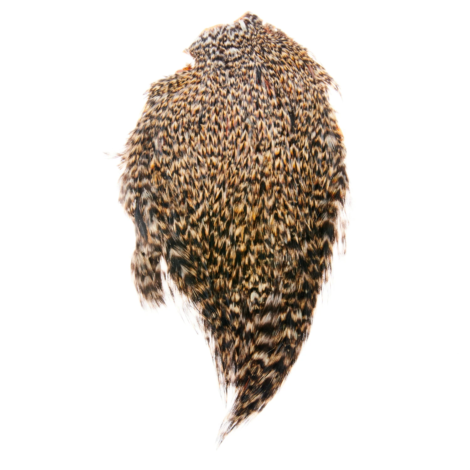 Funky Cock Capes - Funky Fly Tying - Image 12