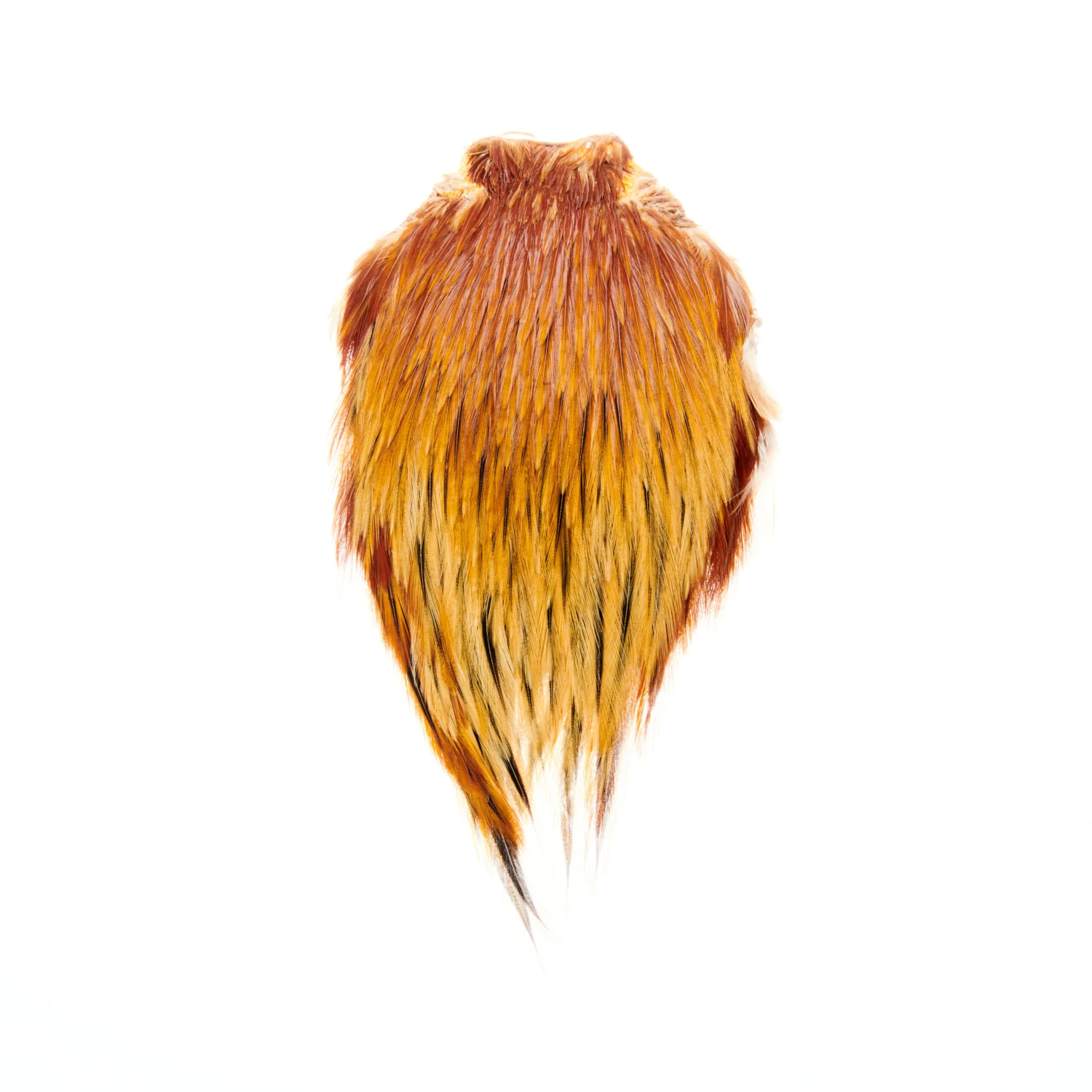Funky Cock Capes - Funky Fly Tying - Image 17