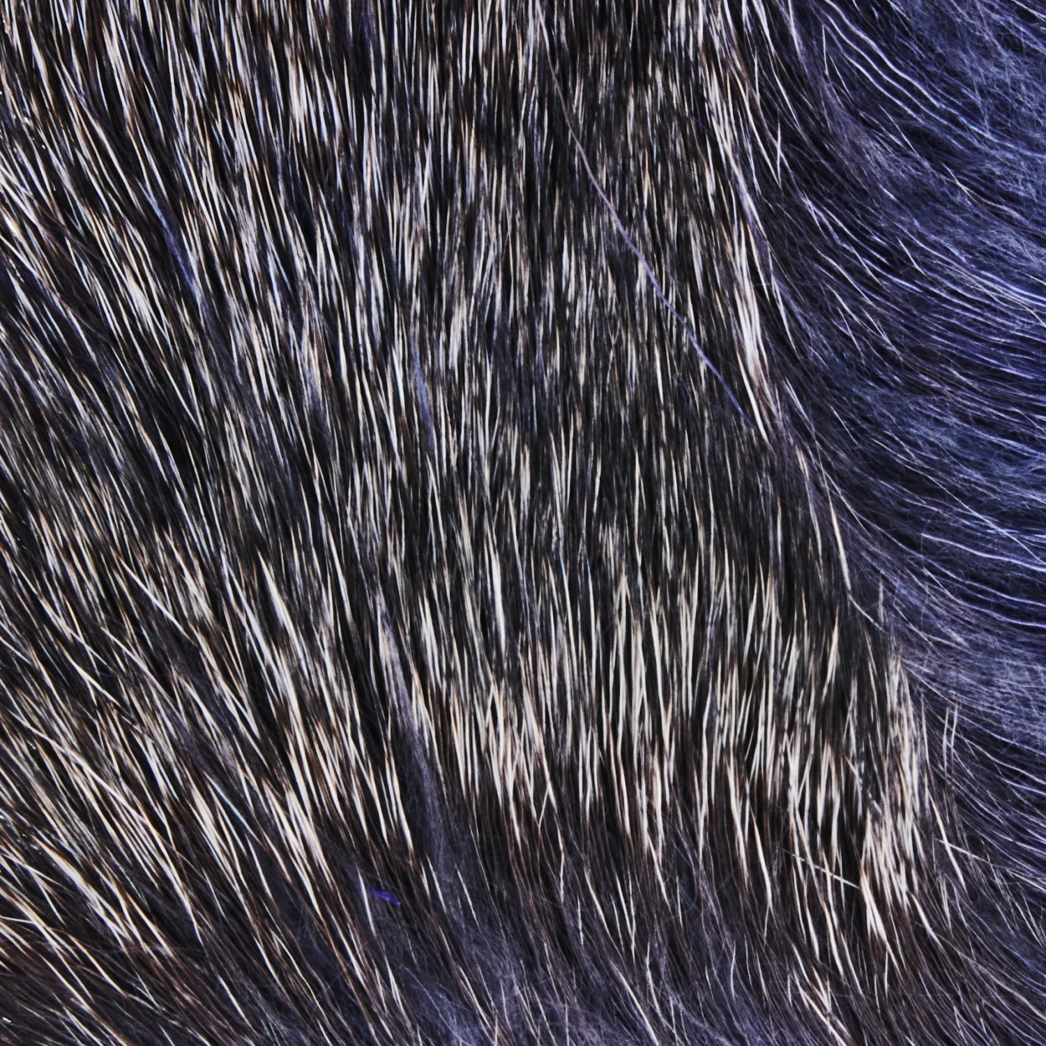 Funky Deer Hair - Funky Fly Tying - Image 12