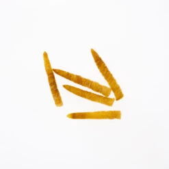 Funky Extended Caddis Fly Bodies (Large) - Funky Fly Tying