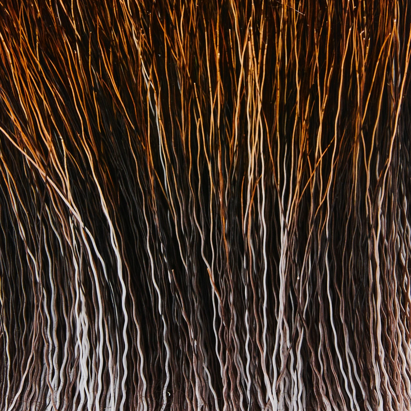 Funky Moose Main - Funky Fly Tying - Image 4