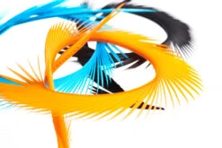 Funky Goose Biots - Funky Fly Tying