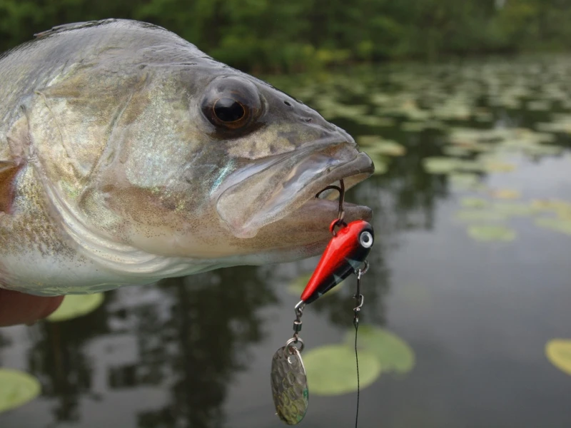 Spinmad Tail Spinner Mag 6g - Image 2