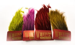 Whiting Coq De Leon Tailing Pack - Funky Fly Tying