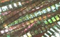 Hedron Lateral Scale - Funky Fly Tying