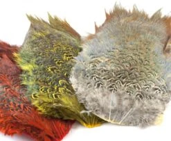 Fish Hunter Ringneck Pheasant Rump Patch - Funky Fly Tying