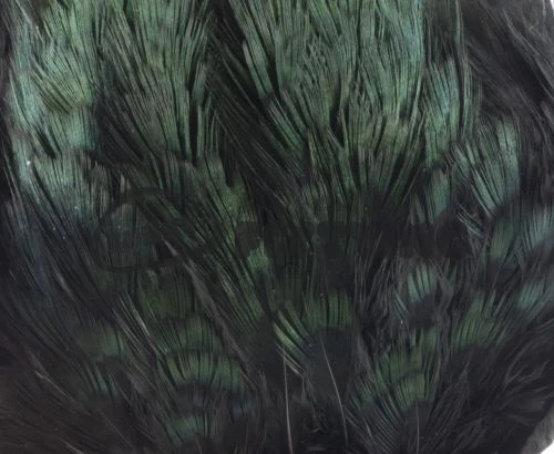 Fish Hunter Ringneck Pheasant Rump Patch - Funky Fly Tying - Image 9