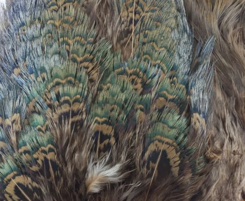 Fish Hunter Ringneck Pheasant Rump Patch - Funky Fly Tying - Image 8