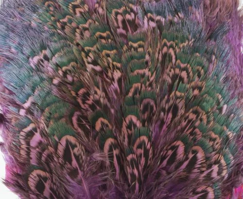 Fish Hunter Ringneck Pheasant Rump Patch - Funky Fly Tying - Image 5