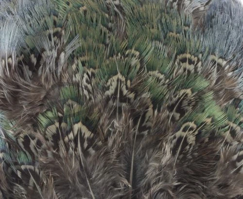 Fish Hunter Ringneck Pheasant Rump Patch - Funky Fly Tying - Image 3