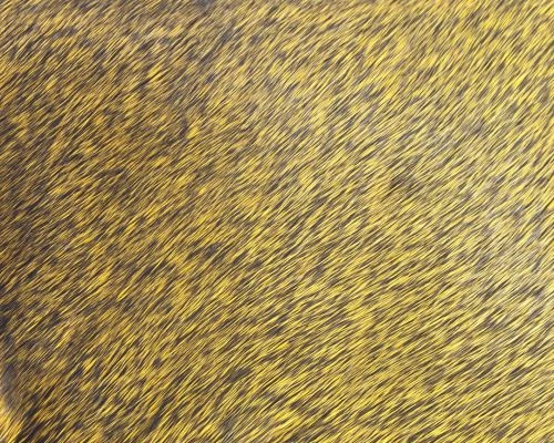 Polish Quills Winter Roe Deer - Funky Fly Tying - Image 5