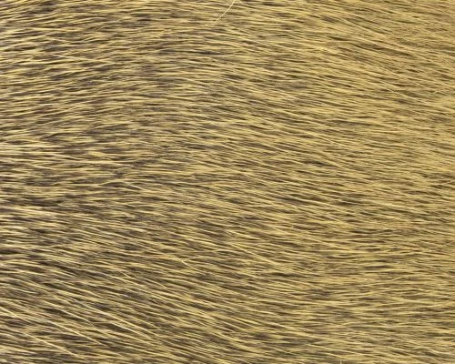 Polish Quills Winter Roe Deer - Funky Fly Tying - Image 19