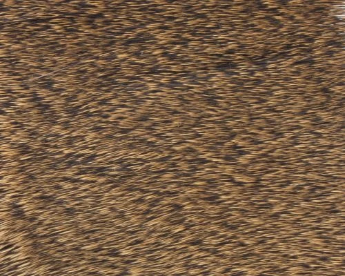 Polish Quills Winter Roe Deer - Funky Fly Tying - Image 17