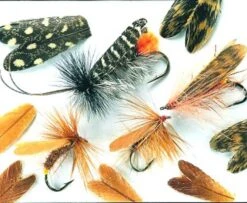 Veniard Natural Feather Caddis Wings - Funky Fly Tying
