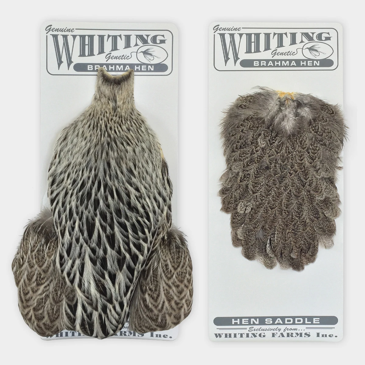 Whiting Brahma Hen Cape - Funky Fly Tying - Image 2