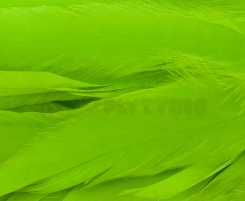 Whiting 1/4oz Loose Pack Of Schlappen - Funky Fly Tying - Image 13