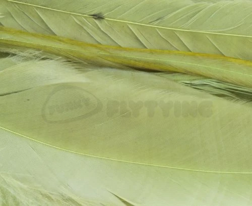 Whiting 1/4oz Loose Pack Of Schlappen - Funky Fly Tying - Image 11