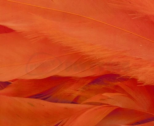 Whiting 1/4oz Loose Pack Of Schlappen - Funky Fly Tying - Image 9