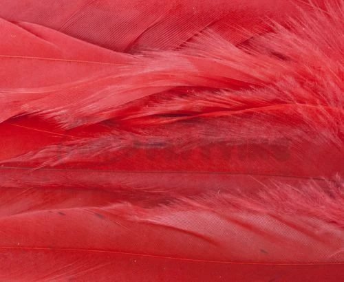 Whiting 1/4oz Loose Pack Of Schlappen - Funky Fly Tying - Image 3