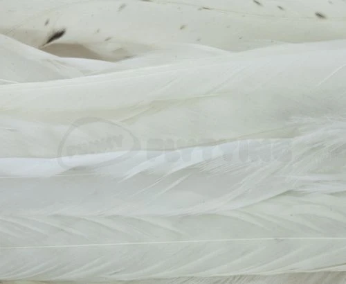 Whiting 1/4oz Loose Pack Of Schlappen - Funky Fly Tying - Image 18