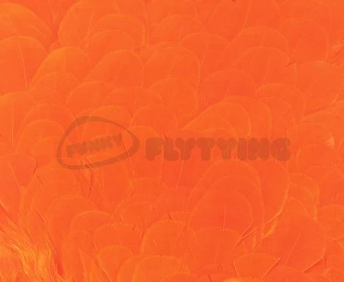 Whiting American Hen Saddles - Funky Fly Tying - Image 3