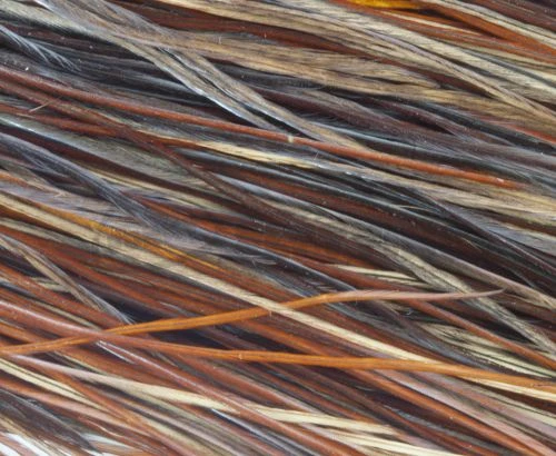 Whiting Pro Grade Midge Whole Saddle - Funky Fly Tying - Image 9