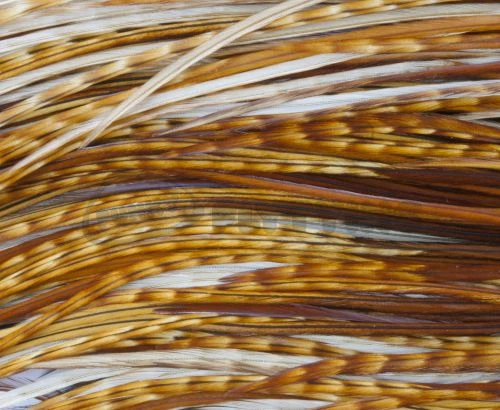 Whiting Pro Grade Midge Whole Saddle - Funky Fly Tying - Image 8