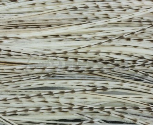 Whiting Pro Grade Midge Whole Saddle - Funky Fly Tying - Image 6