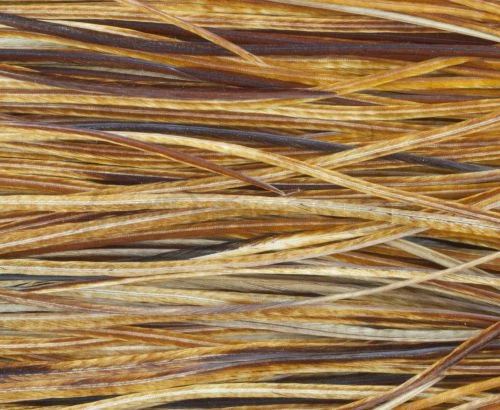 Whiting Pro Grade Midge Whole Saddle - Funky Fly Tying - Image 12